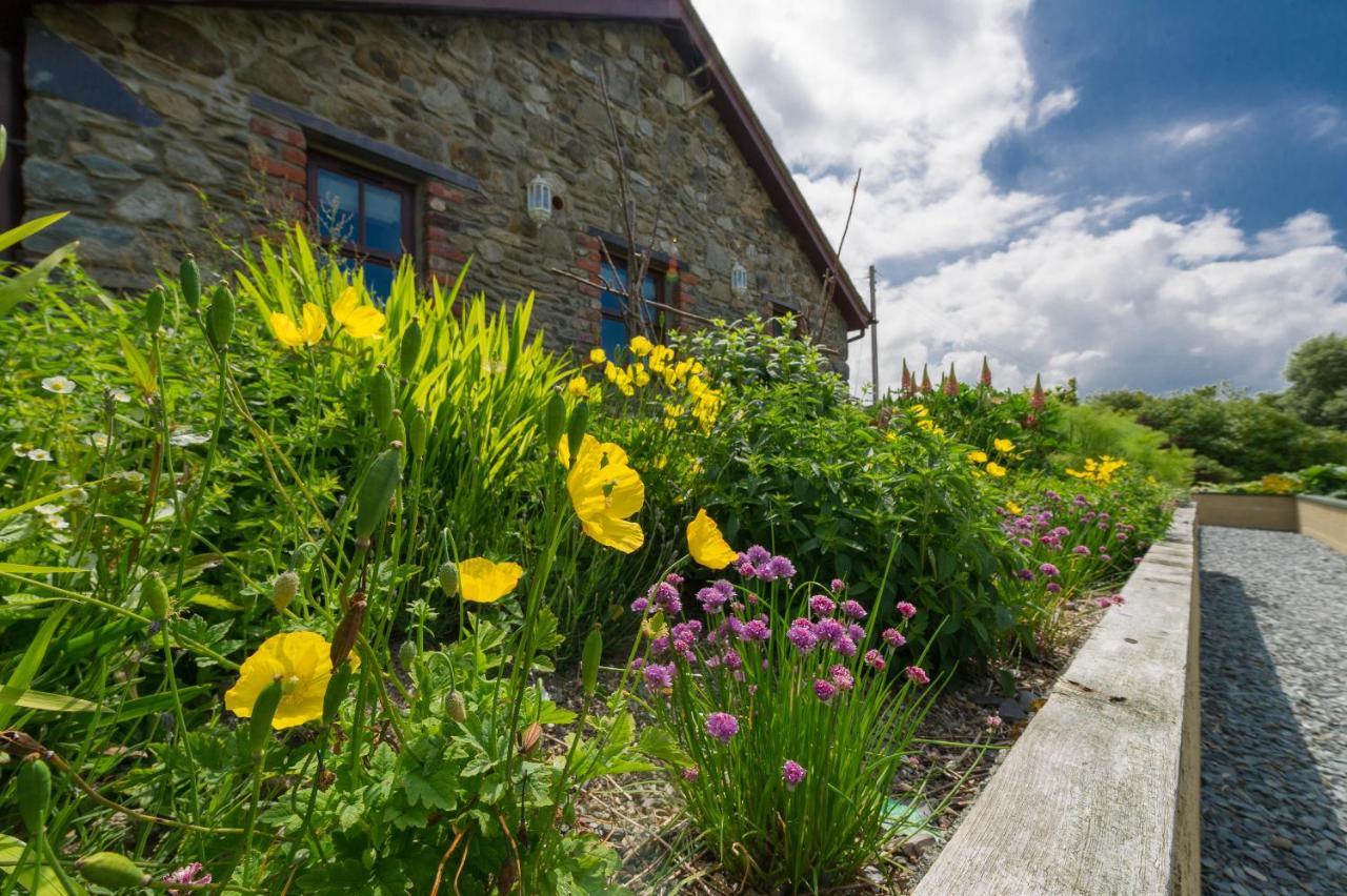 Tyn Rhos Country House Κερνάρφον Εξωτερικό φωτογραφία